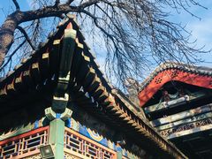 -宣武艺园
