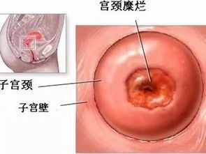 -邢台妇产医院