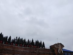 -贵州森林野生动物园