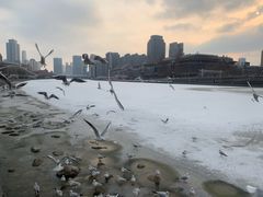 -海河游船(古文化街码头)
