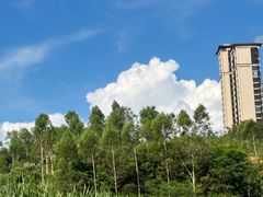 -长泰漂流水陆空景区