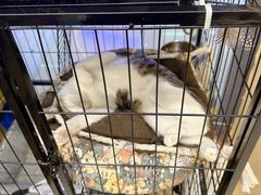 -谜盒子奇幻密室(南屏店)