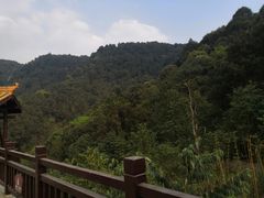 -铁山坪森林公园