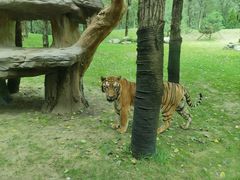 -北京野生动物园