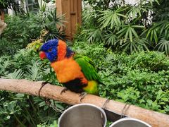 -南宫五洲植物乐园