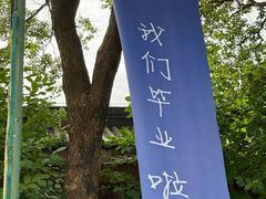 -九龙湖公园