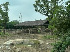 -上海野生动物园