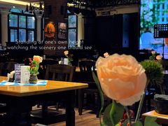 -天津普拉那啤酒坊(意风区店)