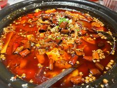 -大鸭梨烤鸭店(花园村店)