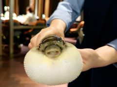 -肆月河豚·淮扬菜·湘菜(华天店)