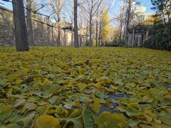 -大钟寺古钟博物馆