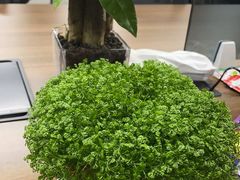 -金陵花卉交易市场