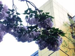 -漕溪路(地铁站)