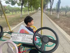 -南湖湿地公园