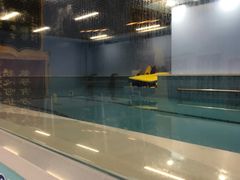 -蓝鲸国际少儿游泳训练中心(群力店)