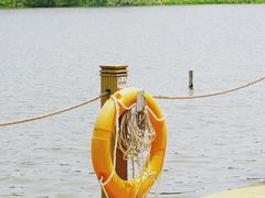 -华侨城湿地公园