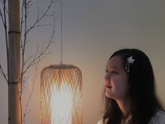 -柴犬小屋·柴餐厅·狗咖食堂(金鼎广场店)