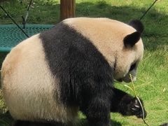 -杭州野生动物世界