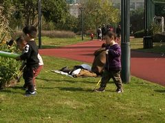 -杭州城北体育公园