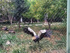 -石家庄市动物园