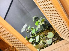 -邈墨茶馆(凤起路店)