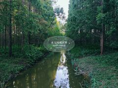 -黄海国家森林公园