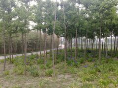 -石家庄市植物园