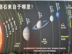 -志强陨石馆(双季花艺店)