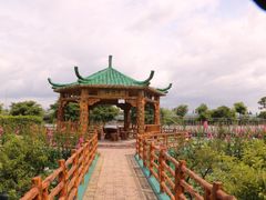 -长廊欢乐园