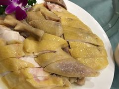 -瑞记湛江鸡饭店·粤西第一鸡(粤垦店)