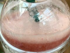 -Mr.Fruits水果先生(朝阳门悠唐店)