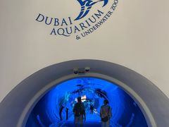 -迪拜水族馆及水下动物园