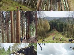 -钟鼎寺