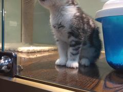 -乐宠宠物店(世纪金源店)