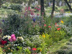 -上海共青森林公园