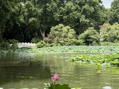 -河南省黄河迎宾馆