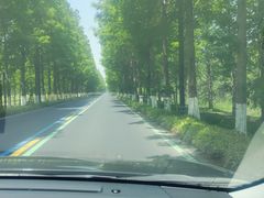 -黄海国家森林公园