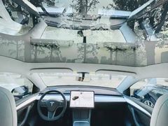 -TESLA 特斯拉(郑州正弘城体验店)
