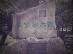 -汉拿树木园