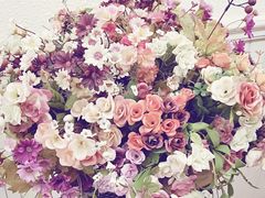 -朝郡酒家·粤菜(燕大星苑店)