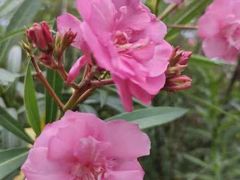 -福建鲤鱼洲酒店