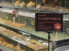 -浩运海鲜·16年专注青岛菜(石老人店)