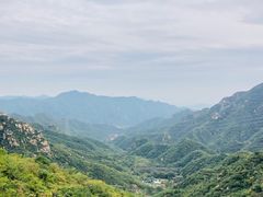-大岭沟猕猴桃谷风景区