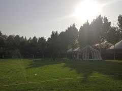 -九十九顶毡房(阜石路店)