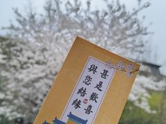 -南京城墙景区