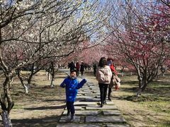 -南湖湿地公园