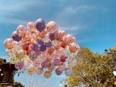 -上海迪士尼度假区