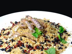 避风塘皮皮虾-迪拜七星酒店·京港酒楼