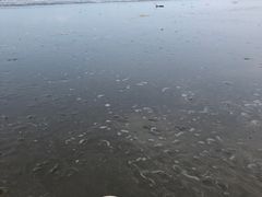 -江山半岛白浪滩景区