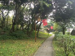 -眉山湿地公园(东坡区)